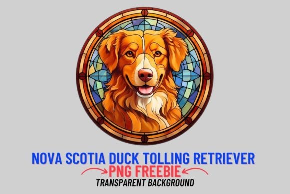 Nova Scotia Duck Tolling Retriever PNG Art