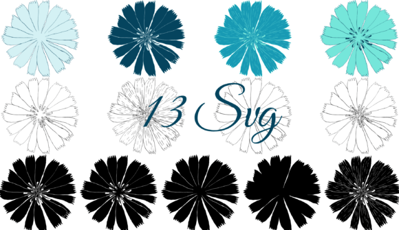 Organic Flower: Elevating Design with Chicory SVG Illustrations
