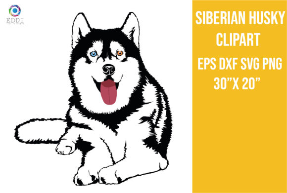 Unleashing Creativity with Premium Siberian Husky Clip Art
